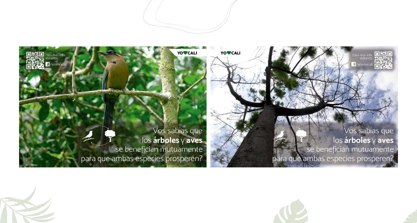 Yo Amo Cali — Carteles de sensibilización ambiental