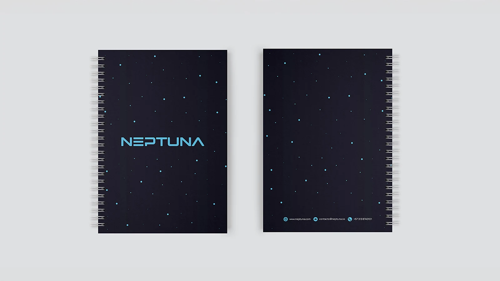 Neptuna — notebook